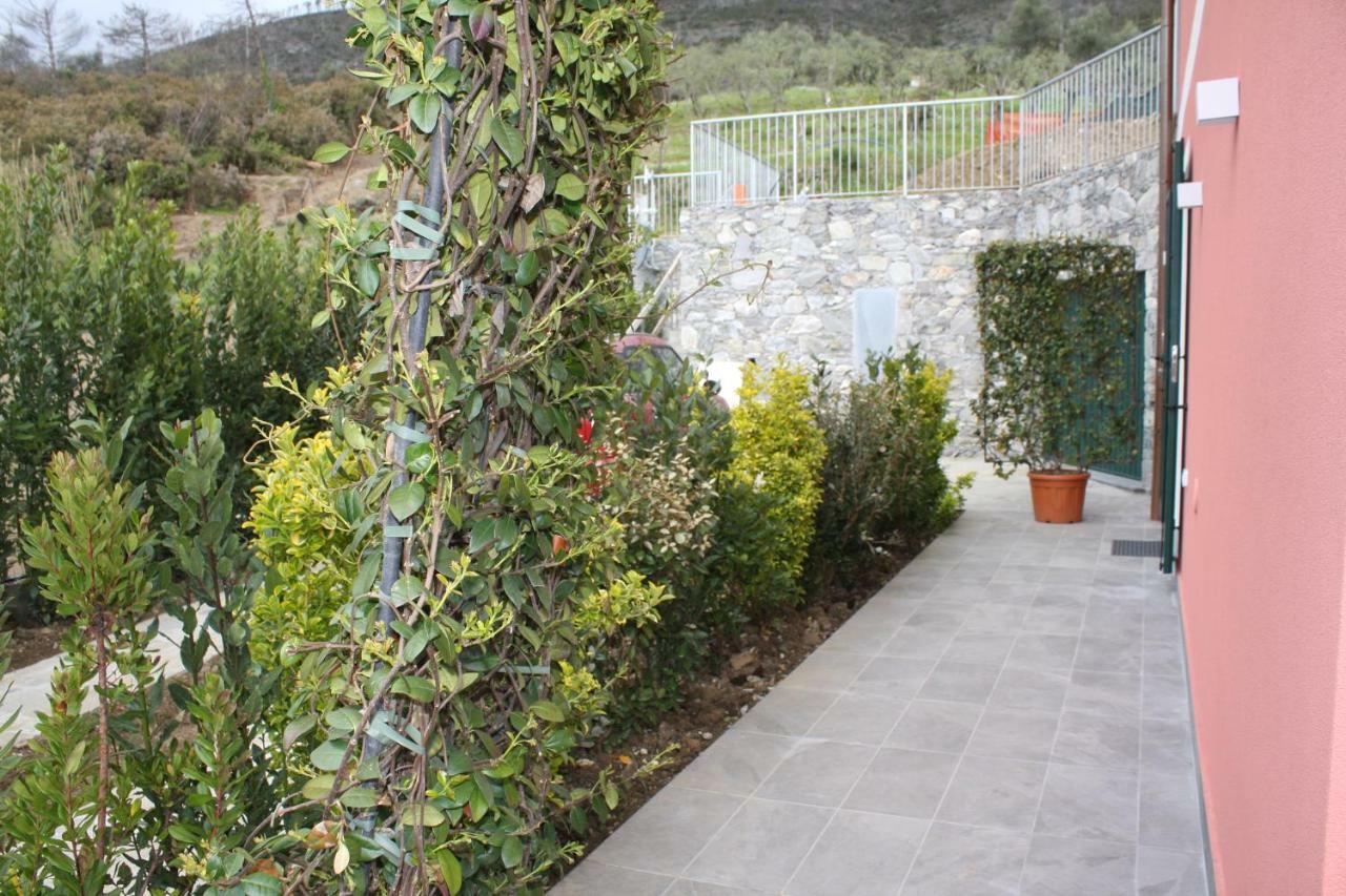 Aria Design
